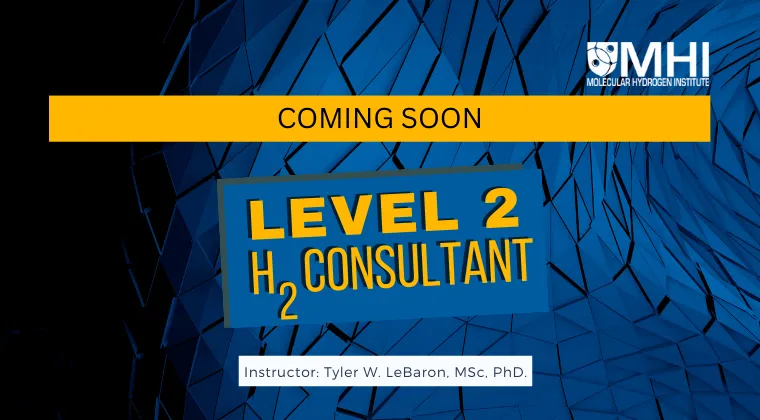 Level 2 Certification course outline
