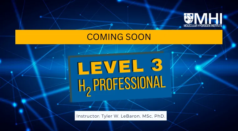 Level 3 Certification course outline